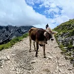 Leas Alpennest * Pfronten