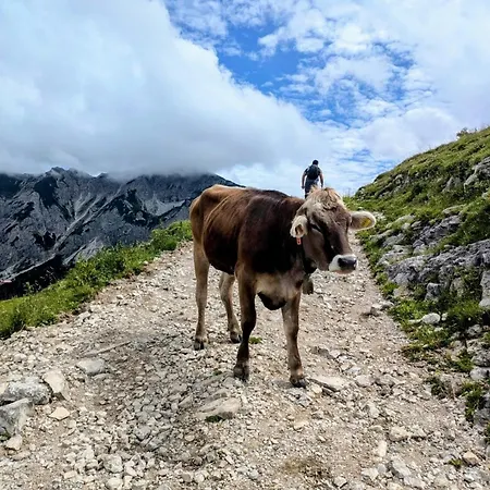 Leas Alpennest * Pfronten