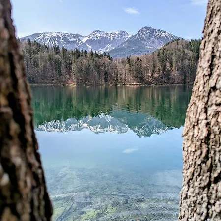 Leas Alpennest